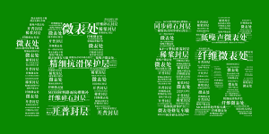 od电竞(中国)官方网站
邀您共享低碳“盛宴”